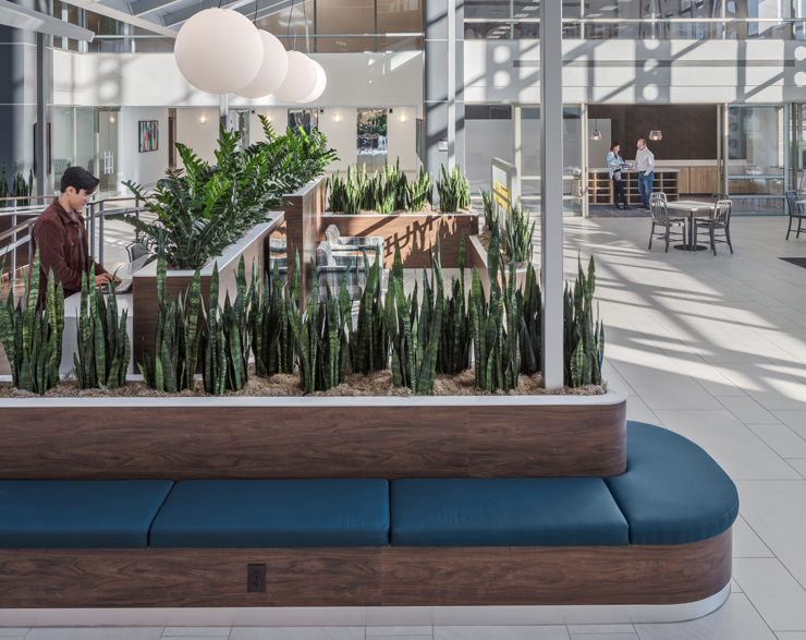 Biophilia throughout the atrium brings greenery to the space 