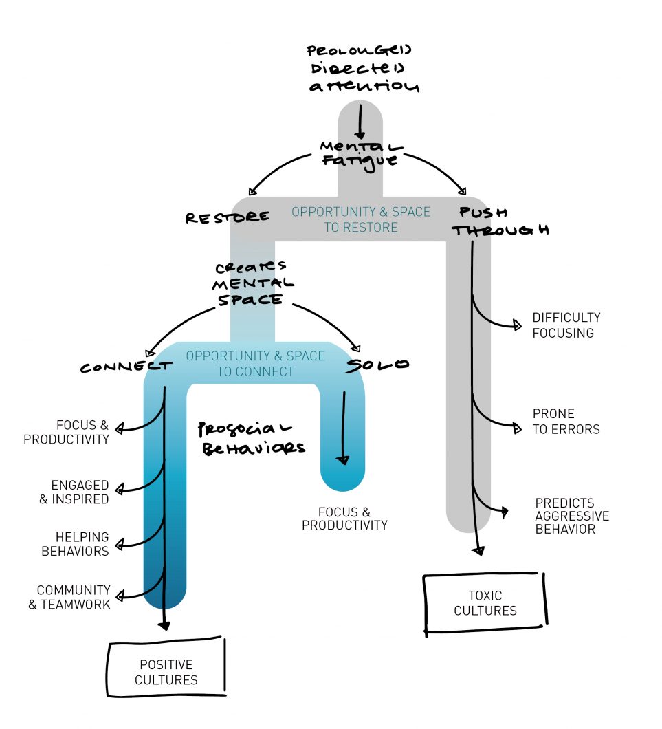 This graphic shows the harmful effects on individuals when they are not given the opportunity to recover from mental fatigue.