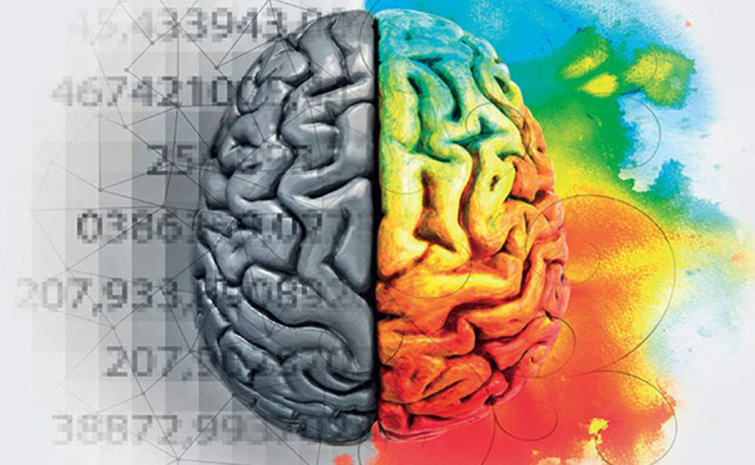 Graphic showing a brain split in half, one side black and white and the other in color