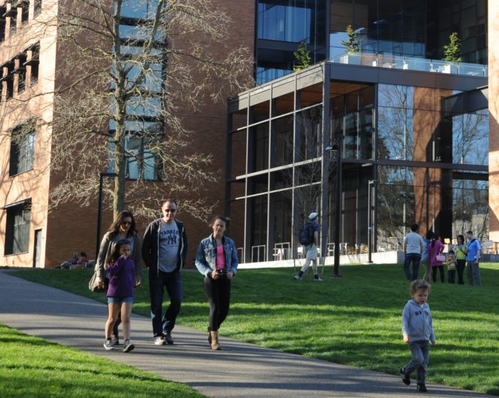 people walking on a park alley