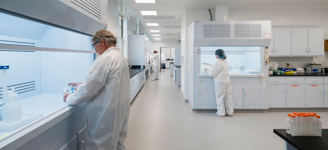 Scientists work under fume hoods in a lab