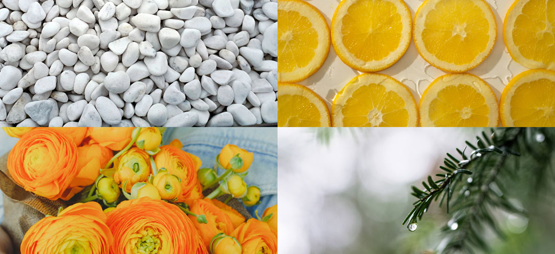 Image collage of white stone, lemons, orange flowers, and a evergreen tree branch