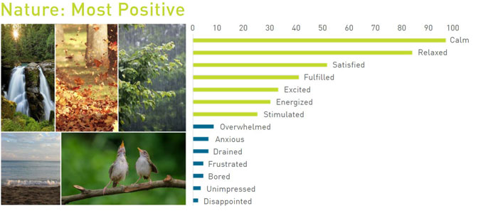 Graph of respondent reactions to sounds of nature