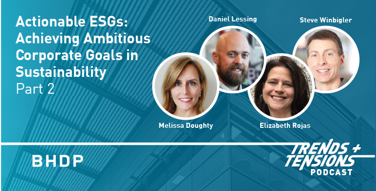 Actionable ESGs: Achieving Ambitious Corporate Goals in Sustainability Part 2