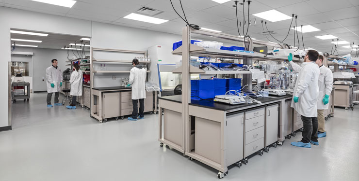 People working in the Forge Biologics Lab