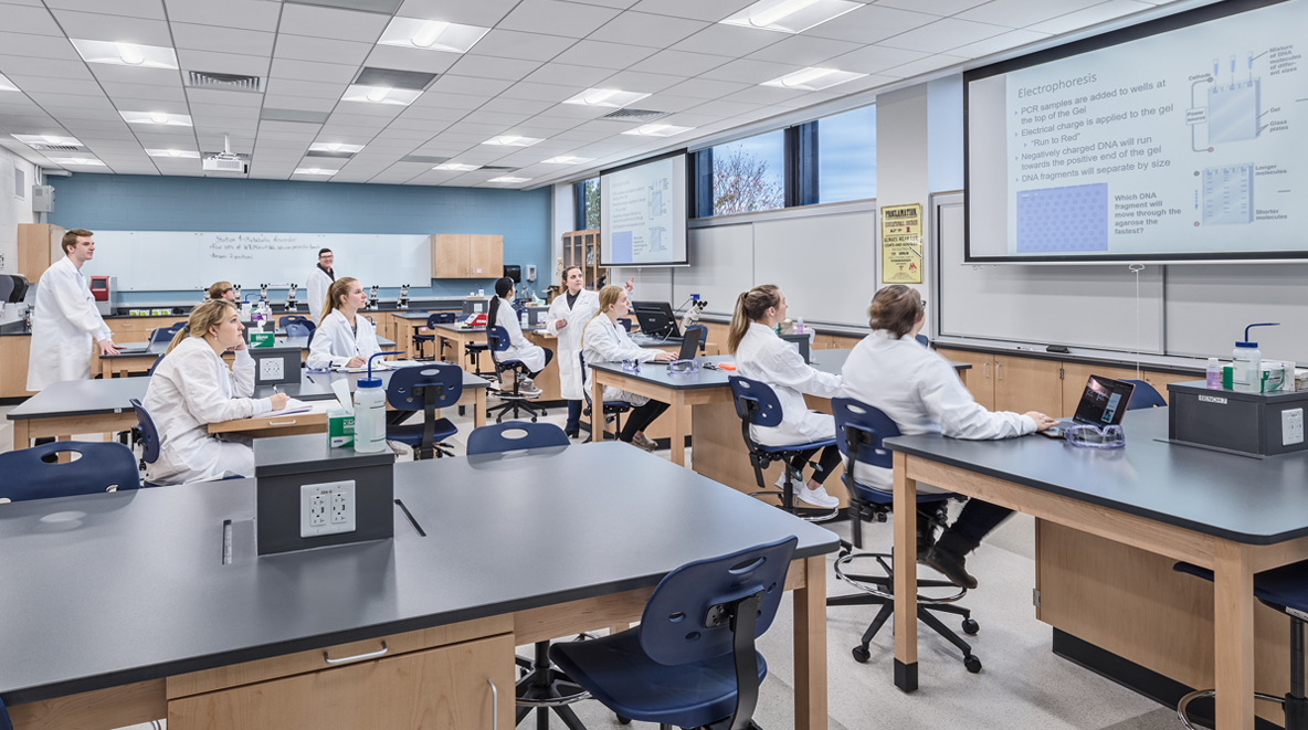 Students examining the teaching wall filled with educational content during a lecture.