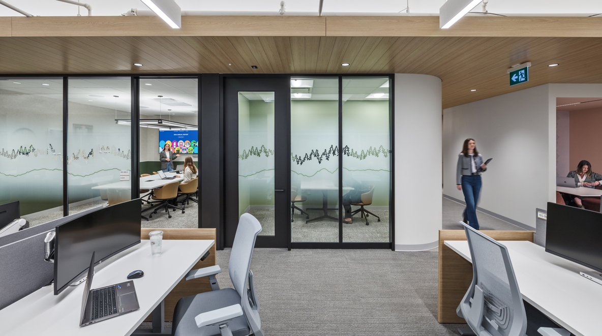 Conference rooms are shown through privacy vinyl with small tree cutouts