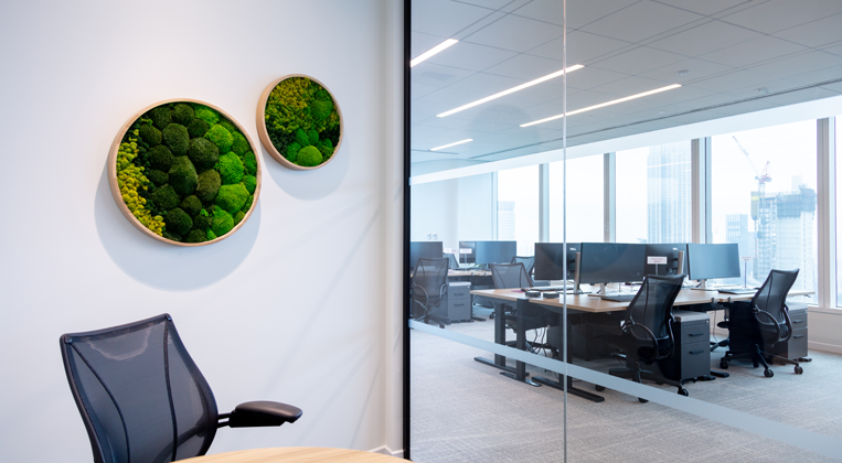biophilia elements featured throughout the space enhance the calming nature of the office