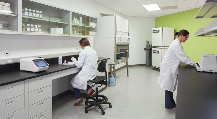 Two scientists work together in a lab at a separate benches
