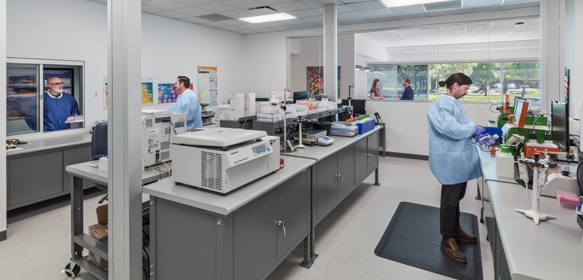 people working in a lab