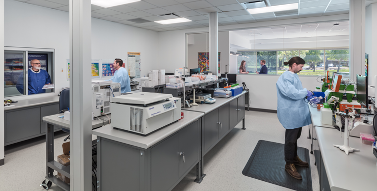 people working in a lab