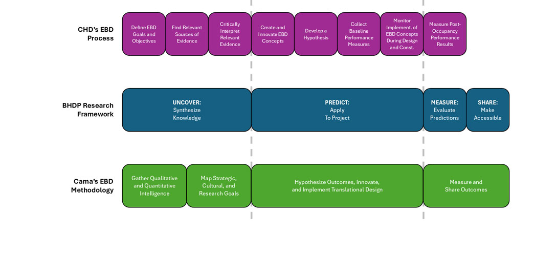 Chart showing BHDP's research framework