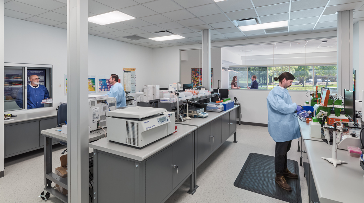People working in blood testing center