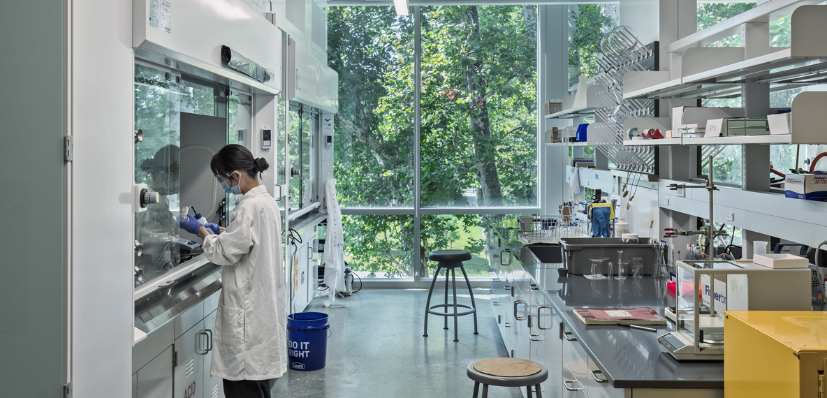 A student works inside a lab that has a large window with a view to nature 