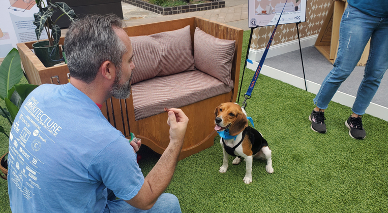 One our Partners holds a treat out in front of a dog up for adoption