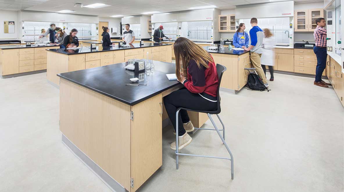 Students work at lab tables