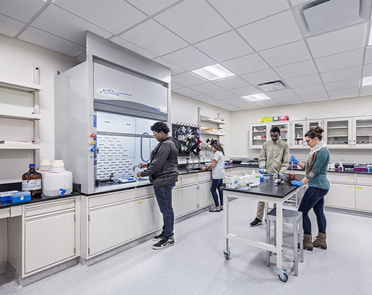 Students work in a lab setting