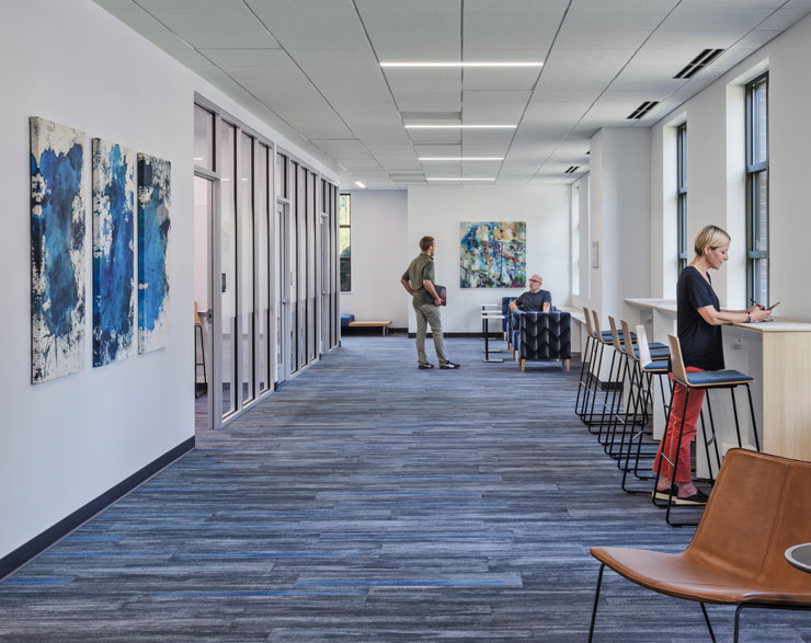 A airy hallway with conference rooms on the left and windows to the right