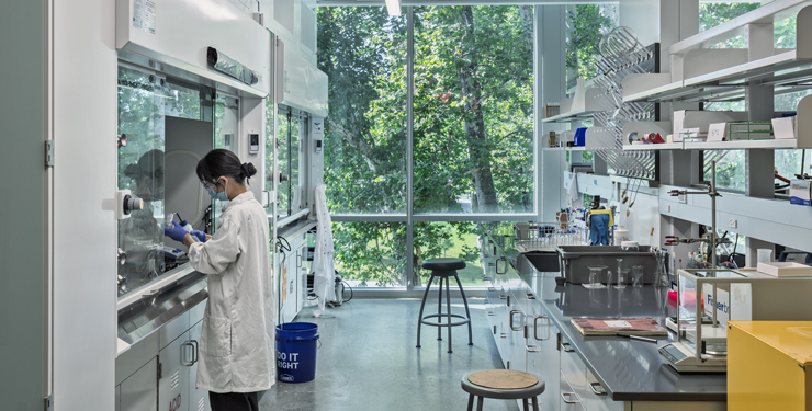 A student works inside a lab that has a large window with a view to nature 