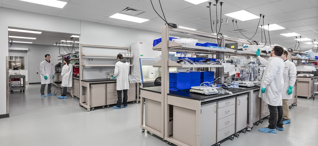 People working in a lab at Forge Biologics