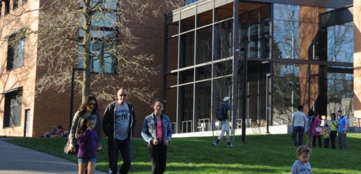 people walking on a park alley