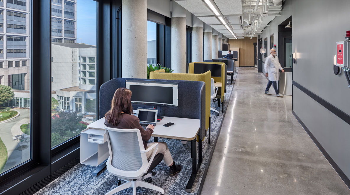 Women working at desk next to window