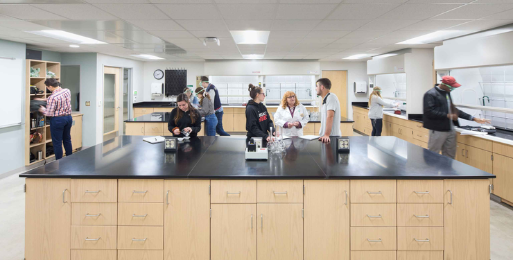 Students work together in a laboratory