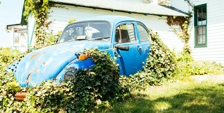 Volkswagen bug covered in ivy