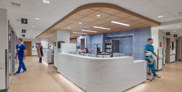 Beyond Building Types: A Performance-Based View of Healthcare and Research Environments 