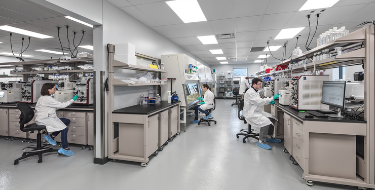 People working in a lab at Forge Biologics