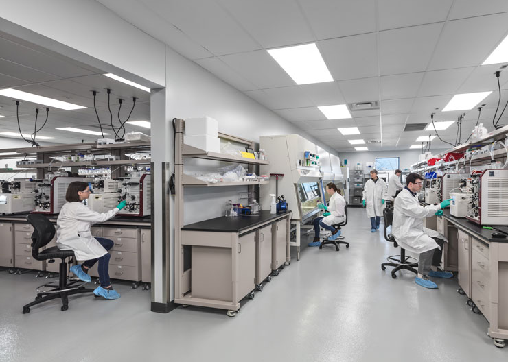 five people working in a lab at forge biologics