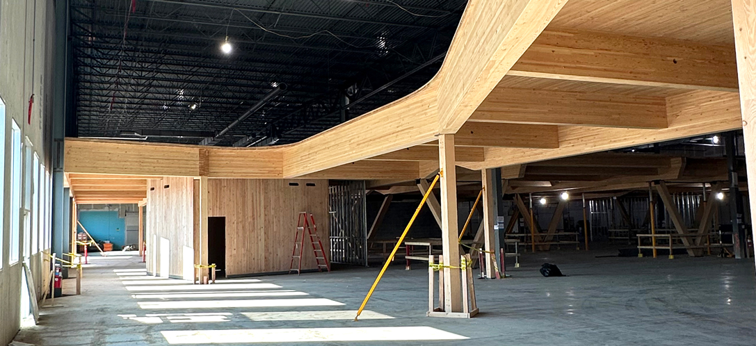 Timber beams