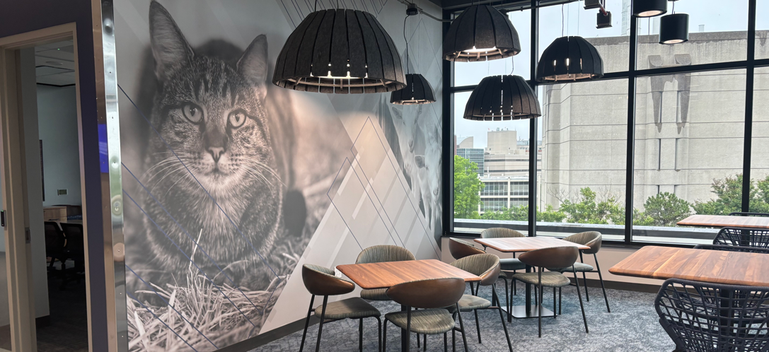 Collaboration spaces throughout the building are designed to encourage connection among students and faculty.